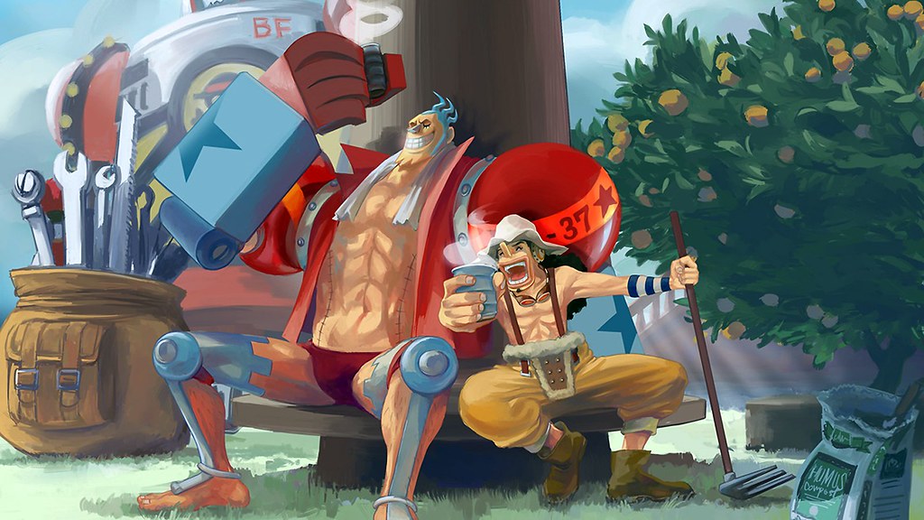 One Piece Usopp And Franky , HD Wallpaper & Backgrounds