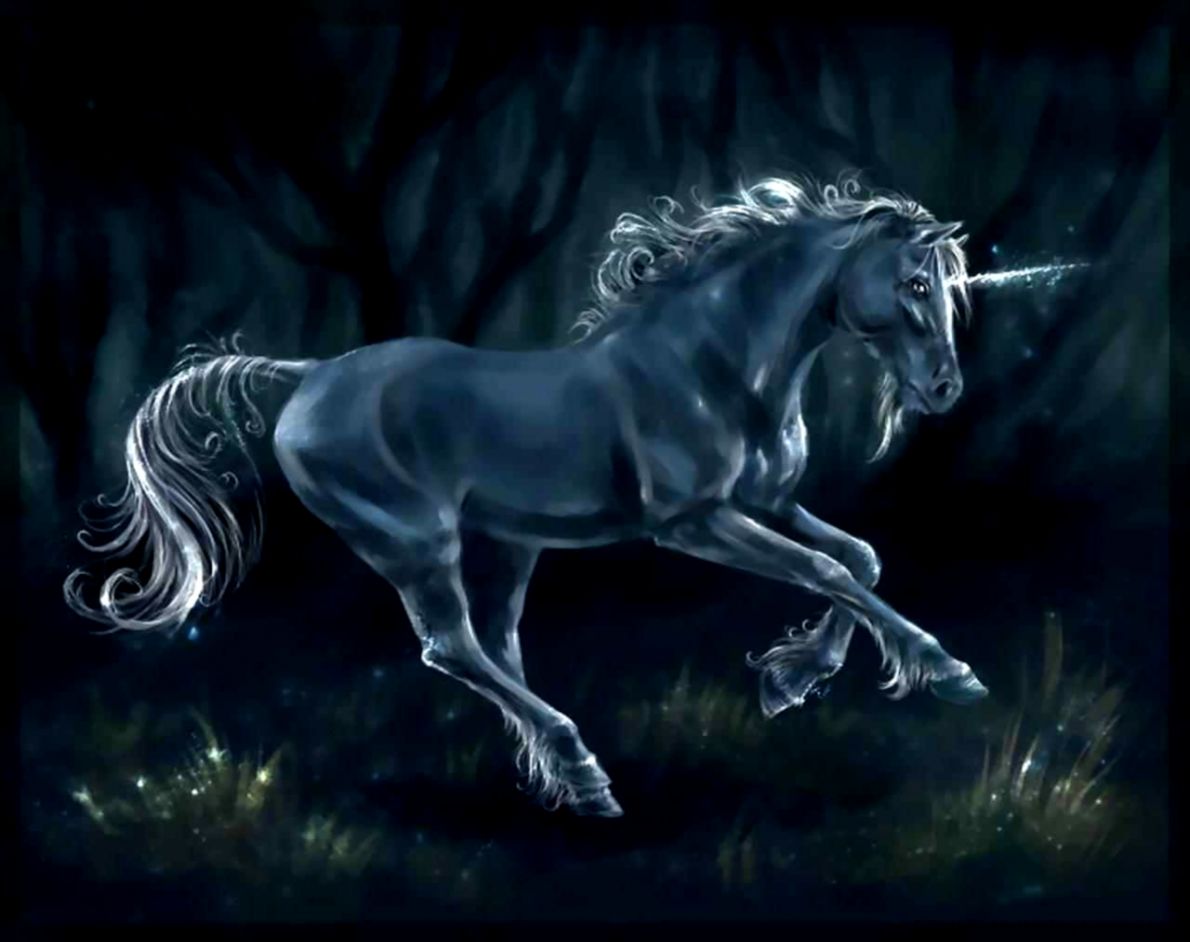 Black Unicorn Desktop Wallpaper - Unicorn , HD Wallpaper & Backgrounds
