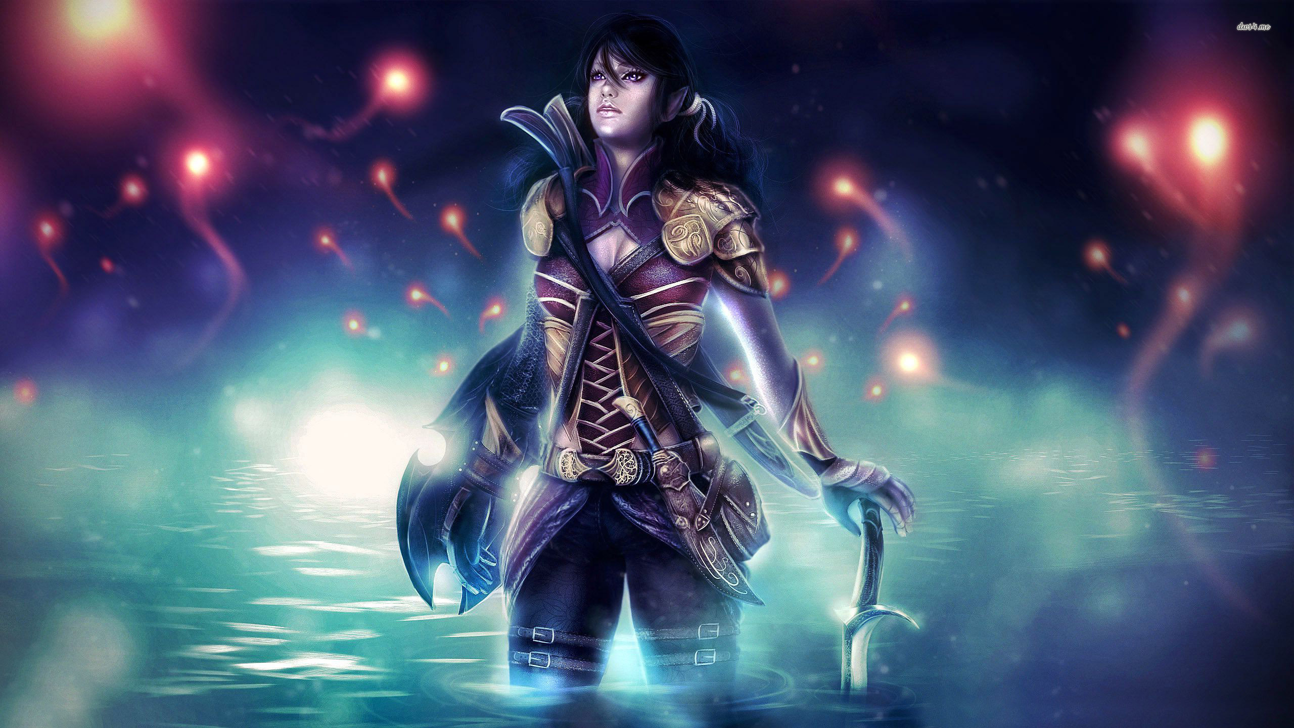 Female Elf Warrior Fantasy , HD Wallpaper & Backgrounds
