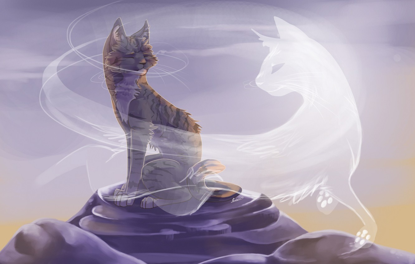 Photo Wallpaper Cat, Art, Ghost - Warrior Cats Finchwing , HD Wallpaper & Backgrounds