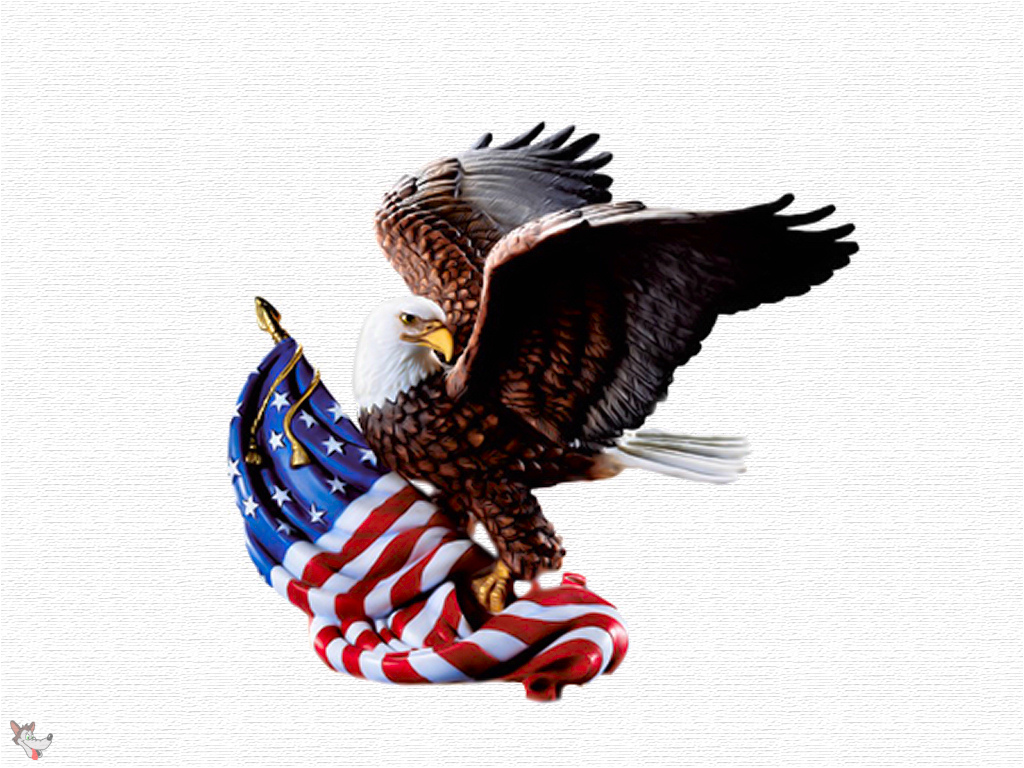 4th Of July Eagle - Eagle American Flag , HD Wallpaper & Backgrounds