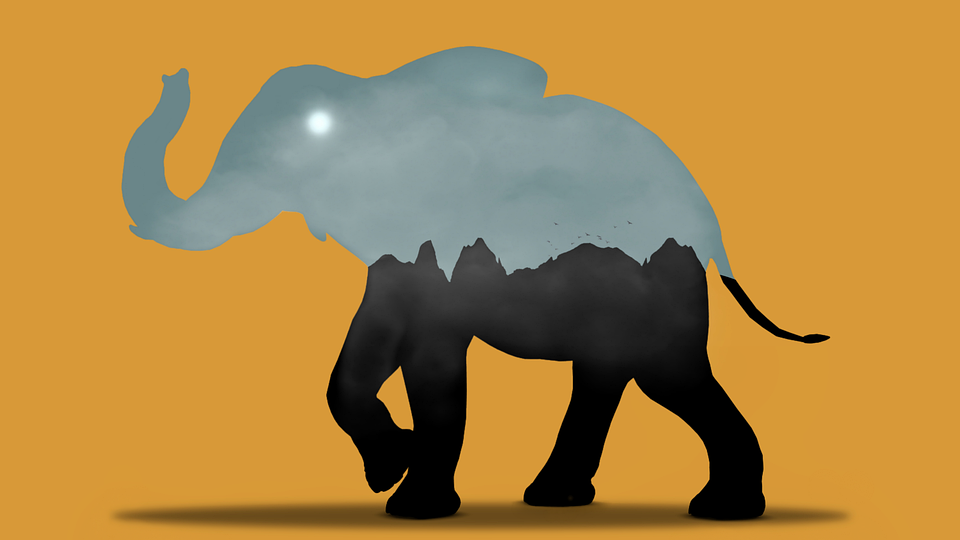 Indian Elephant , HD Wallpaper & Backgrounds