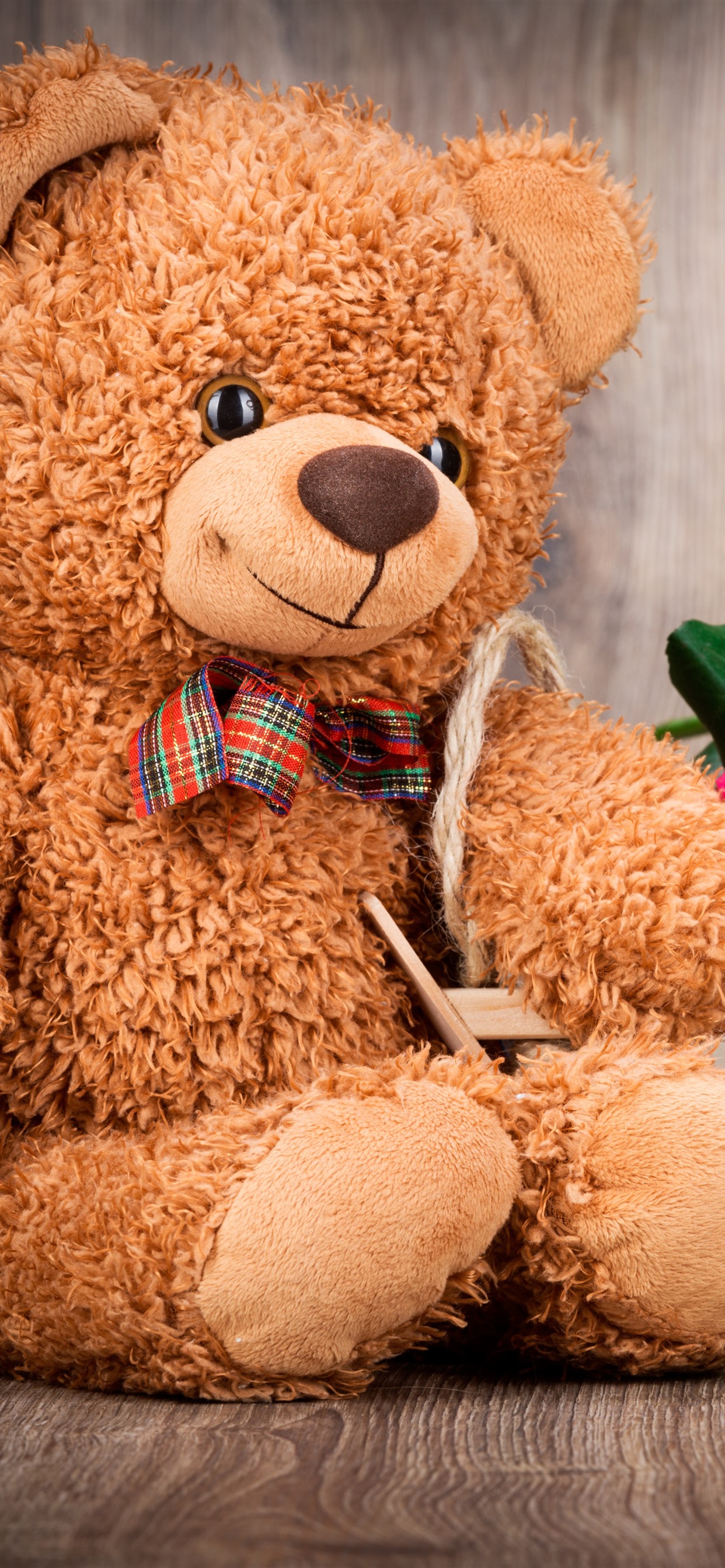 Iphone Wallpaper Teddy Bear And Colorful Roses, Romantic - Thank You Friendship Teddy Bear , HD Wallpaper & Backgrounds