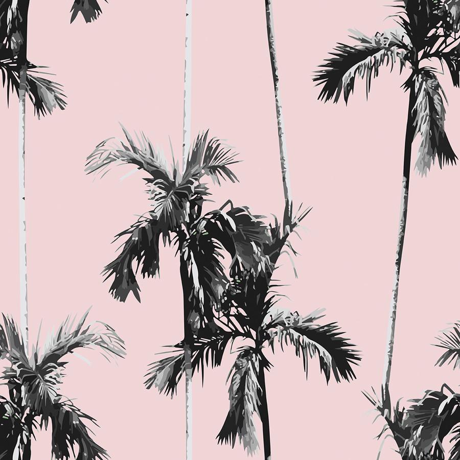 Palm Tree Leaves Pink Background , HD Wallpaper & Backgrounds