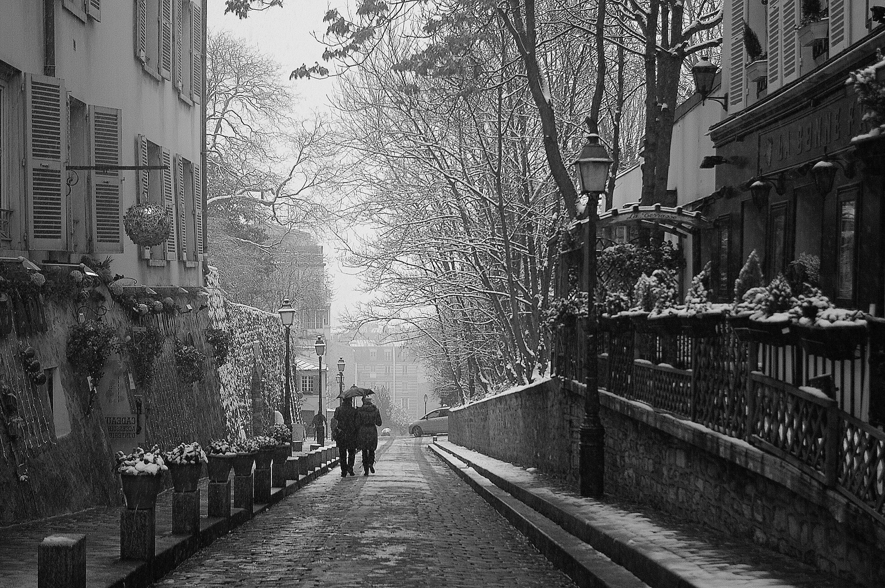 Narrow Street In Paris, Wallpaper On The Desktop - David Sornberger Photography , HD Wallpaper & Backgrounds