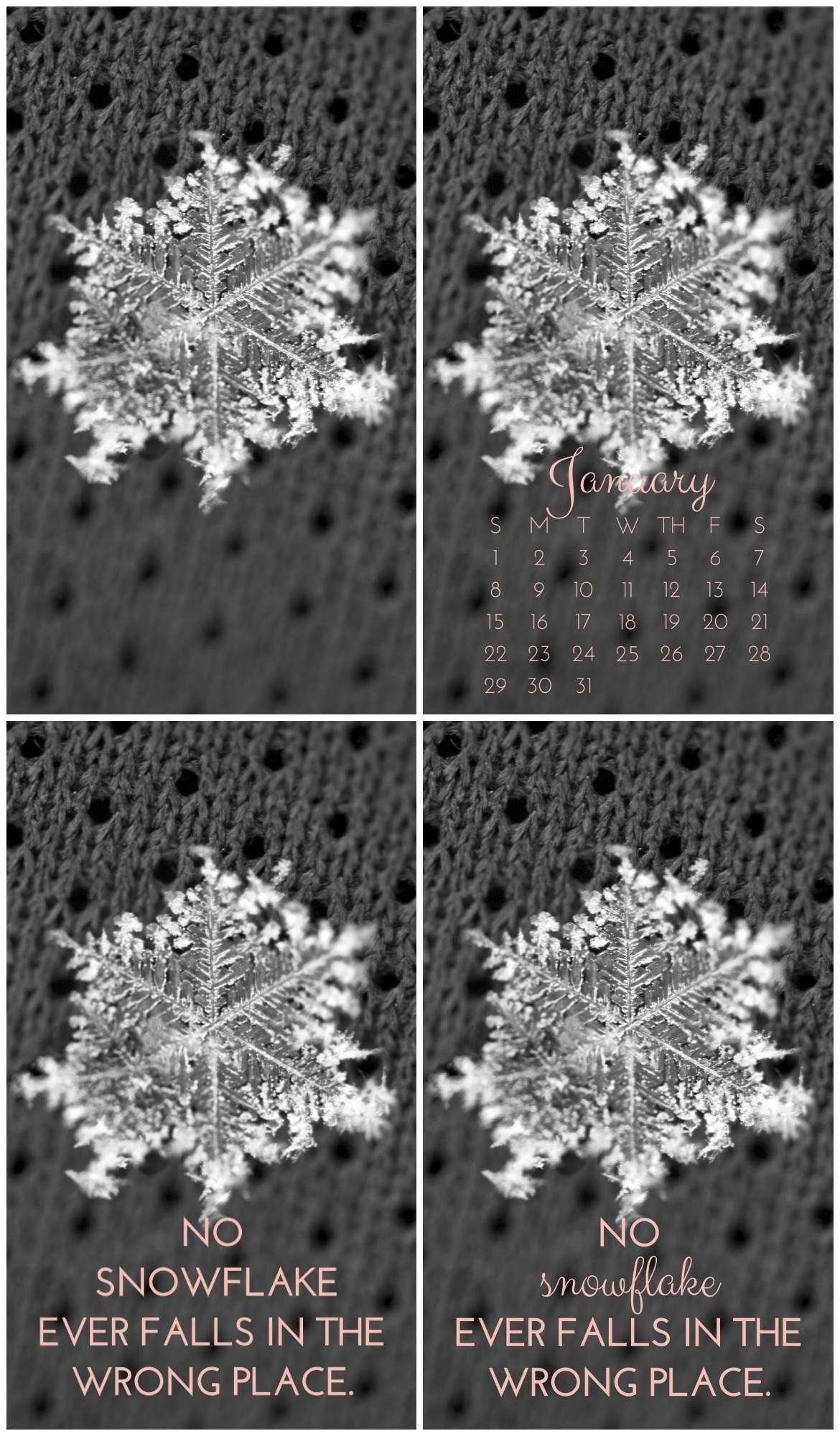 Jan 2017 Iphone Wallpaper Backgrounds - Motif , HD Wallpaper & Backgrounds
