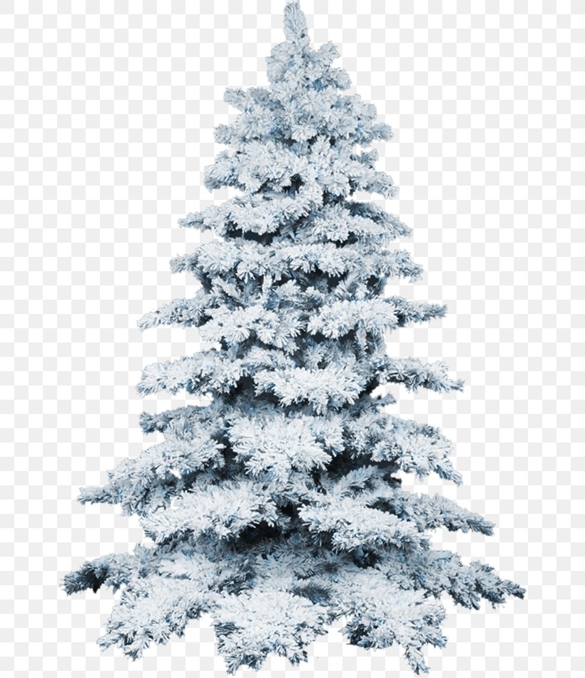 Christmas Tree Snow Wallpaper, Png, 658x950px, Tree, - Christmas Tree With Snow Png , HD Wallpaper & Backgrounds