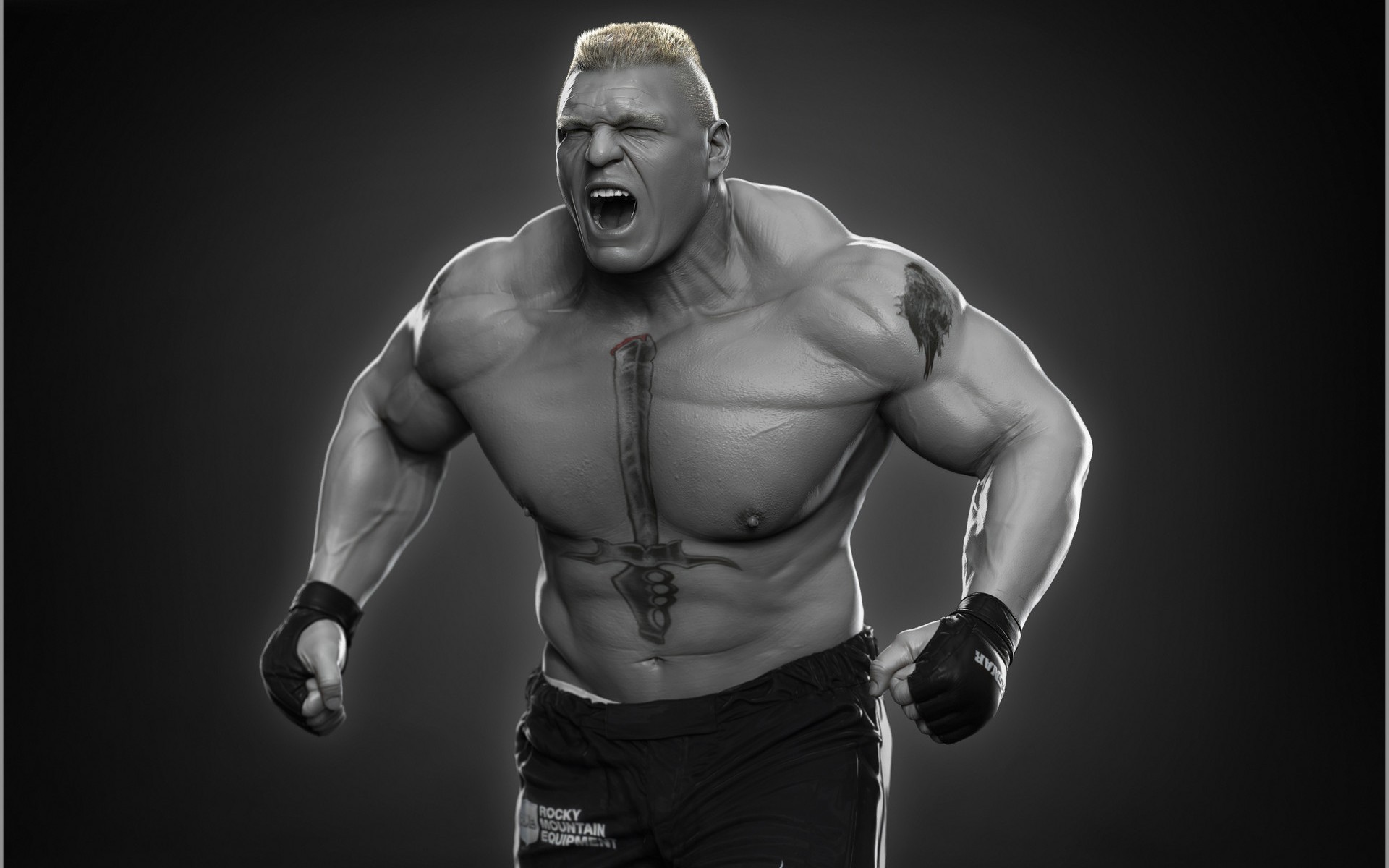 Brock Lesner Wwe 4k , HD Wallpaper & Backgrounds