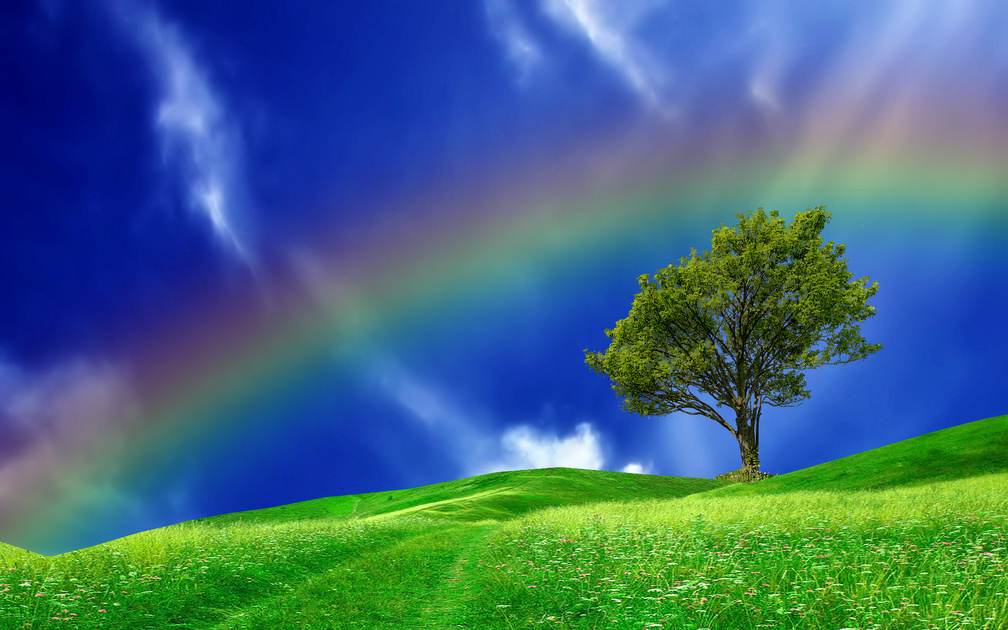 Rainbow And Tree Background , HD Wallpaper & Backgrounds