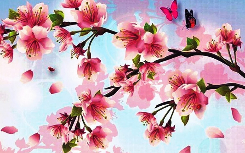 Cherry Blossom Wallpaper , HD Wallpaper & Backgrounds