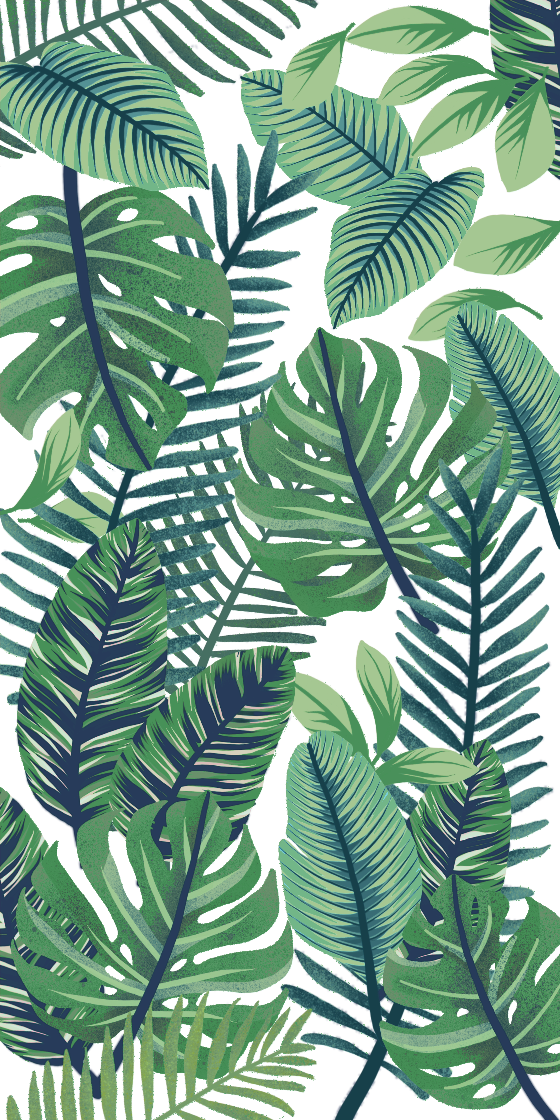 Leaf , HD Wallpaper & Backgrounds