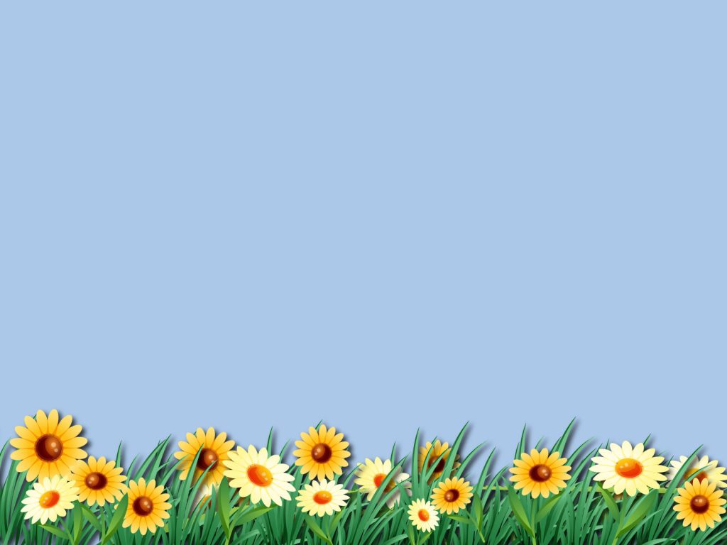 Daisy Flower Unique Wallpaper Backgrounds - Cute Background For Powerpoint , HD Wallpaper & Backgrounds