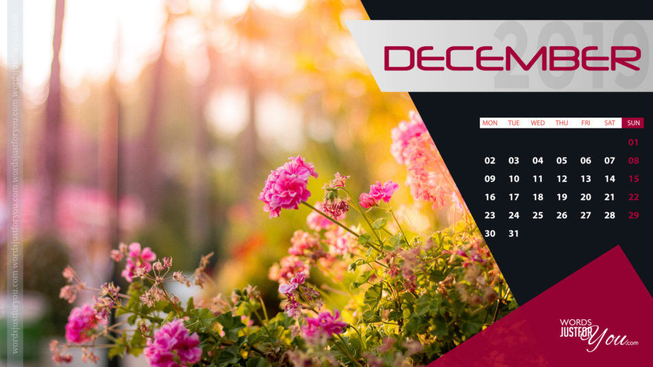 Hd December 2019 Calendar Desktop Wallpaper - December Calendar Desktop Wallpaper 2019 , HD Wallpaper & Backgrounds