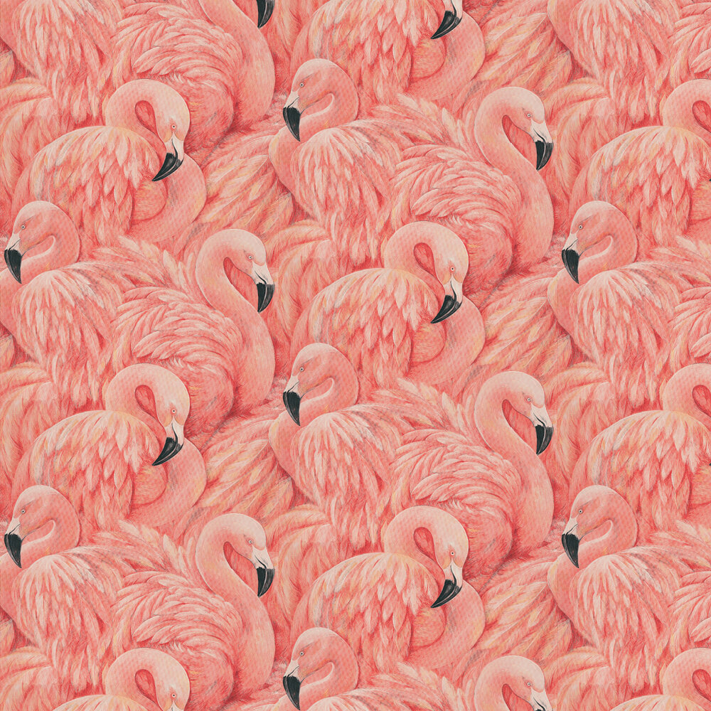 Pink Wallpaper Flamingo , HD Wallpaper & Backgrounds