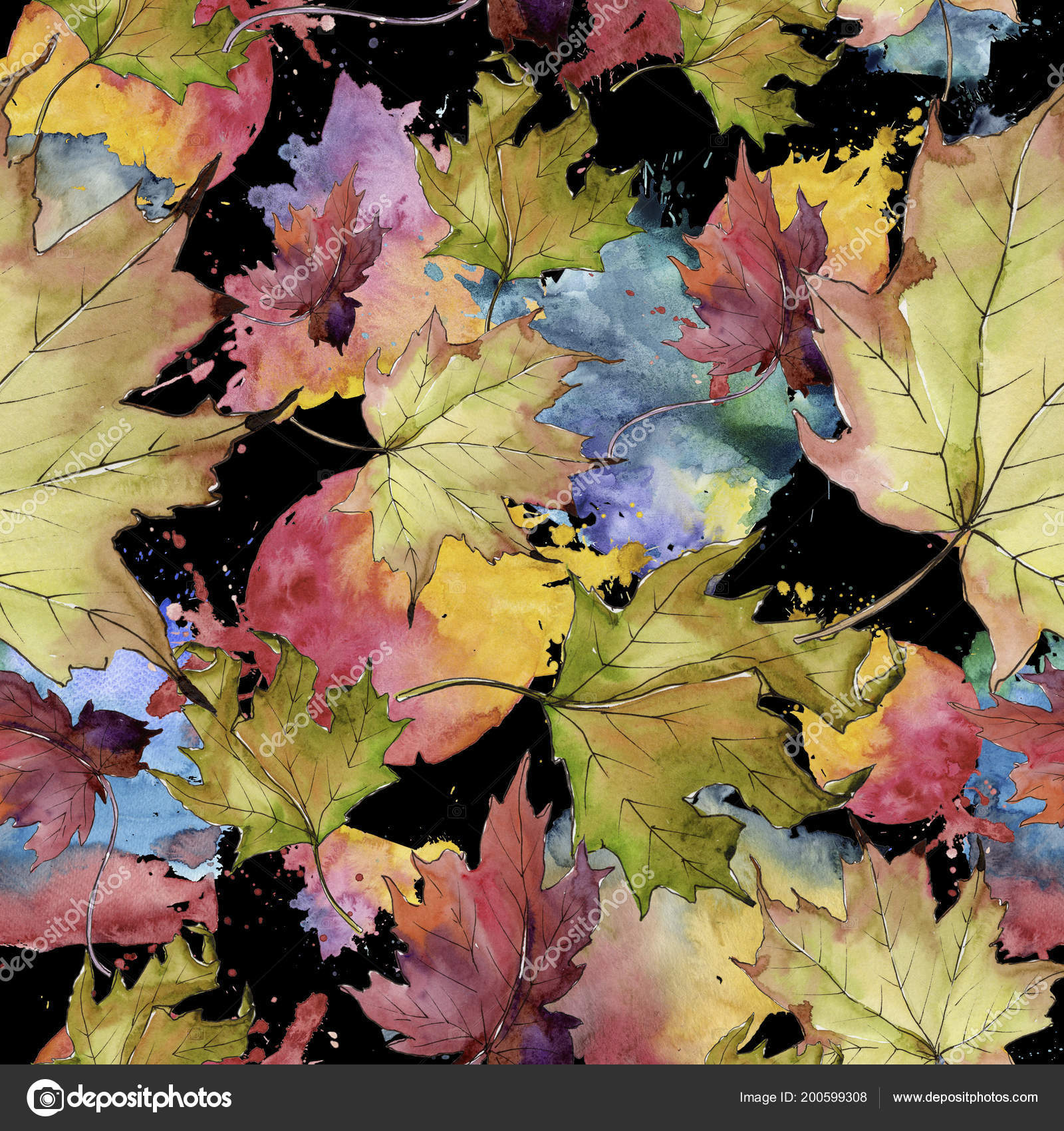 Maple Border , HD Wallpaper & Backgrounds