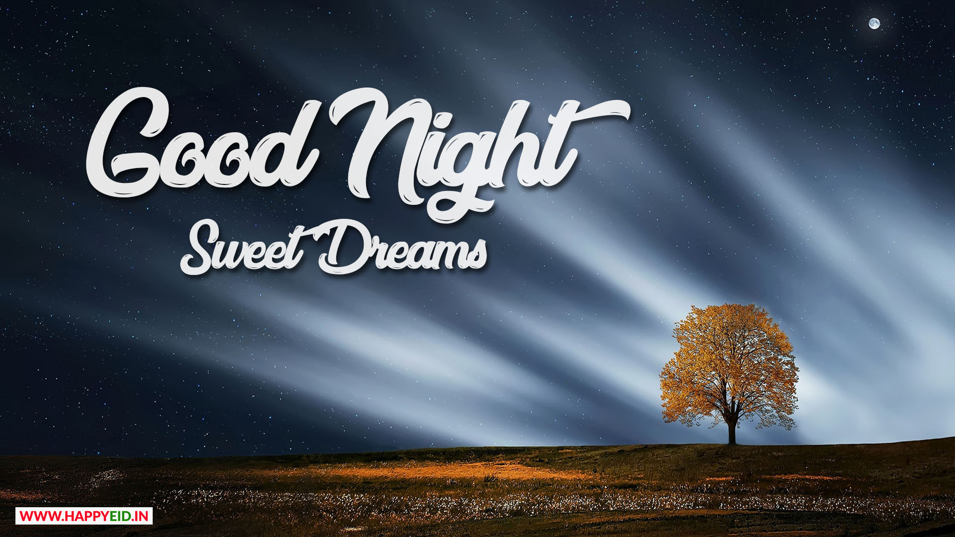 Goodnight Status Wallpaper Good Night Status For Whatsapp - Tree , HD Wallpaper & Backgrounds