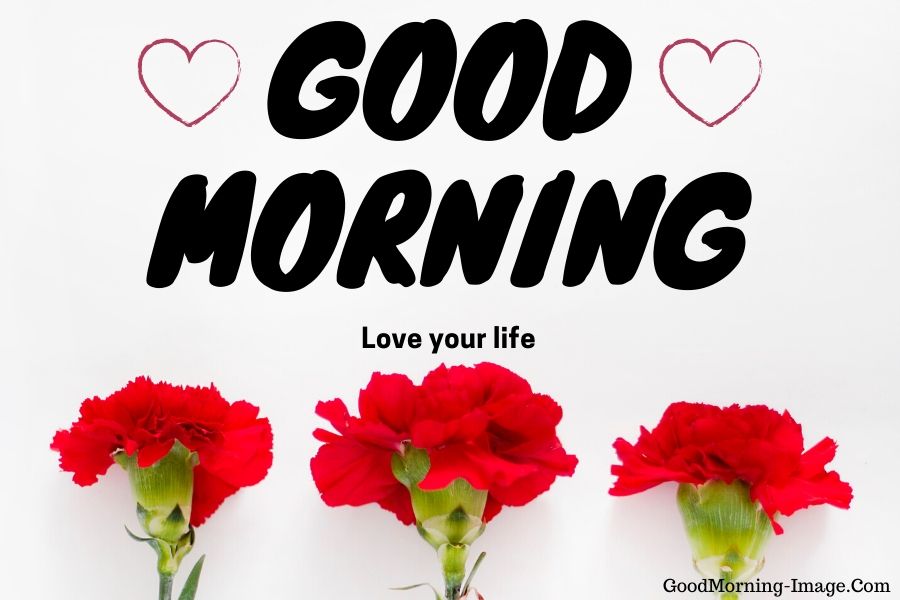 Good Morning Images - Good Morning Gifs 2019 , HD Wallpaper & Backgrounds