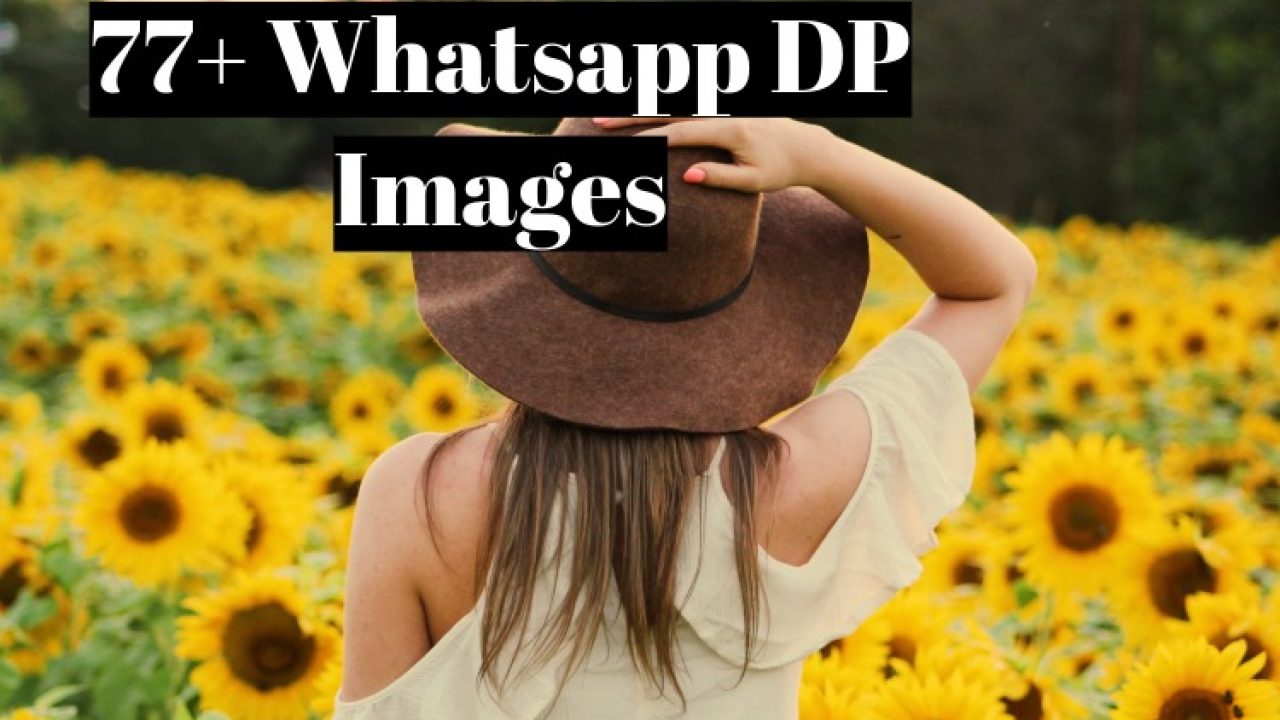 Profile Pic For Whatsapp Dp , HD Wallpaper & Backgrounds