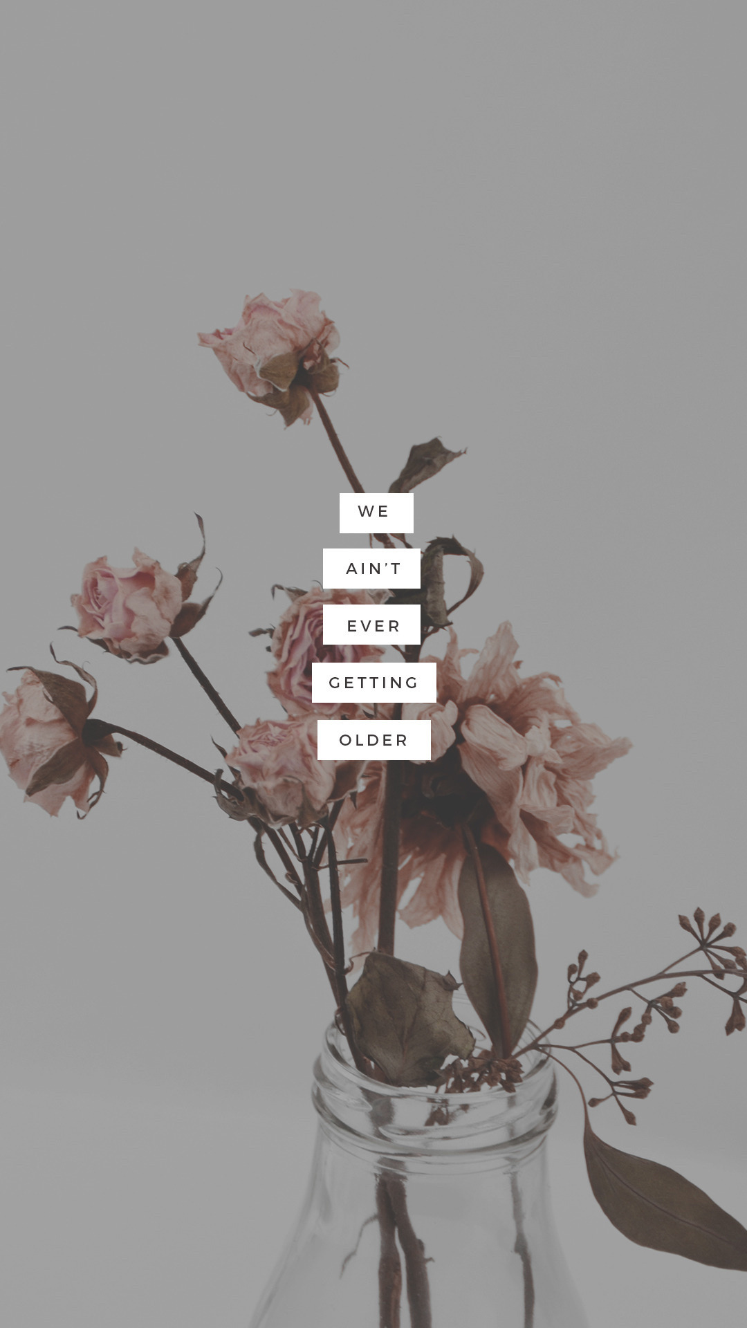 Image - Lockscreen Halsey Lyrics , HD Wallpaper & Backgrounds