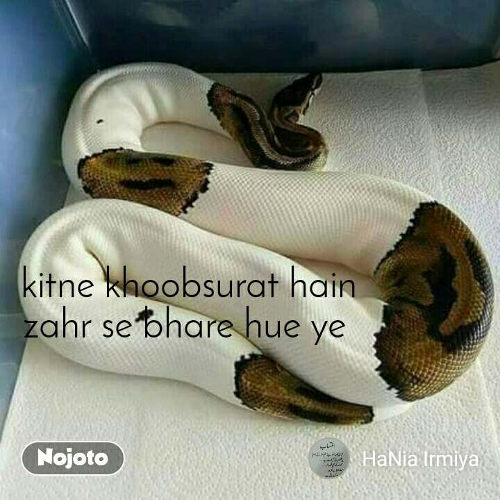 Kitne Khoobsurat Hain
zahr Se Bhare Hue Ye - Snake Which Grows 0.5 Cm Per Second , HD Wallpaper & Backgrounds