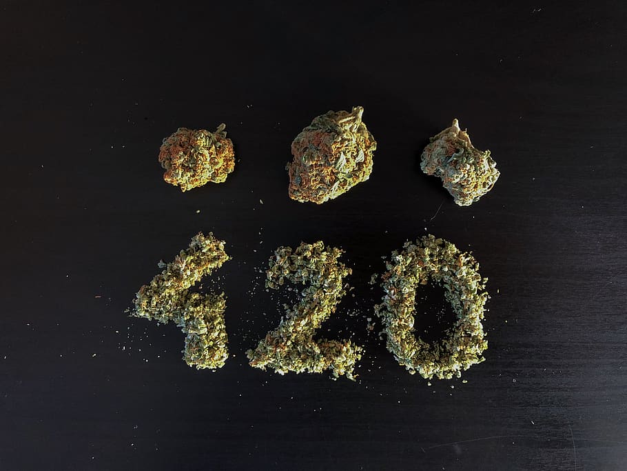 Austria, Vienna, Marijuana, Tree, Weed, Nugs, Buds, - Gold , HD Wallpaper & Backgrounds