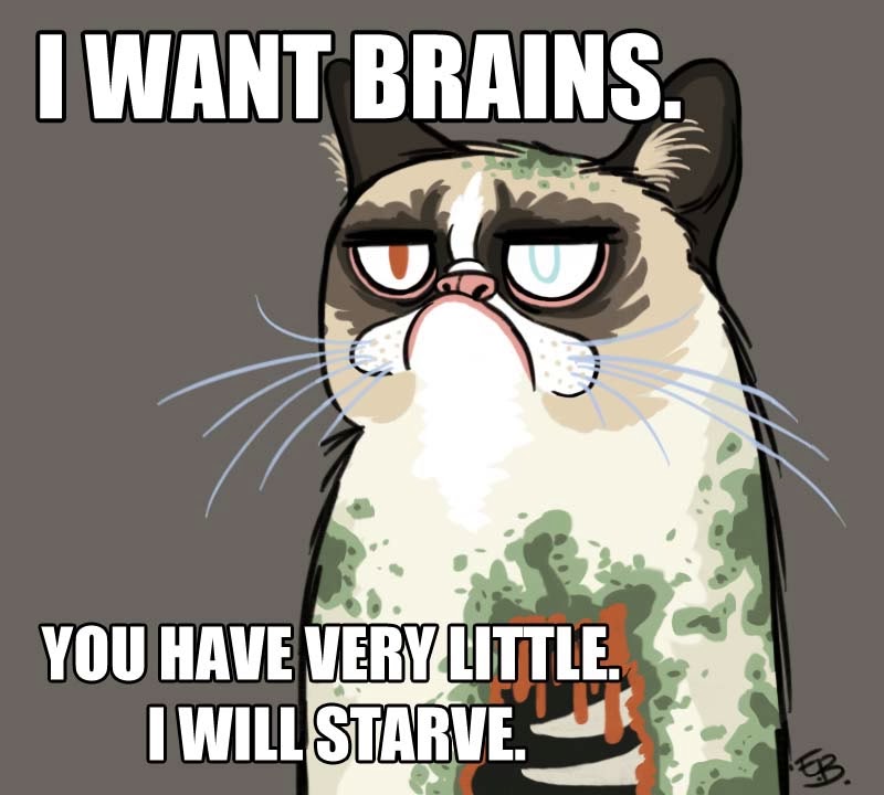 Zombie Grumpy Cat Meme Wallpaper Background - Memes No Me Trajeron Nada Los Reyes , HD Wallpaper & Backgrounds