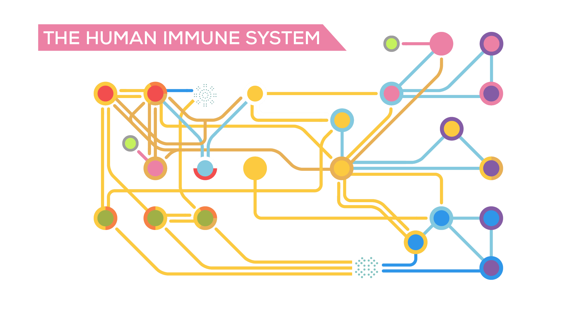 Immune System Kurzgesagt , HD Wallpaper & Backgrounds