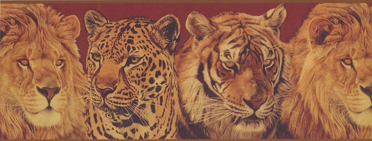 Lion Leopard , HD Wallpaper & Backgrounds