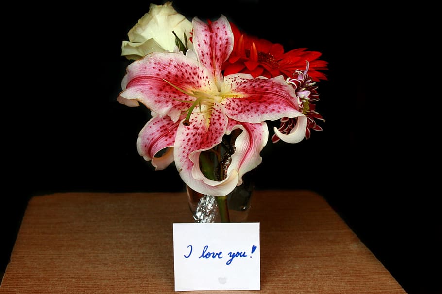 Proposal, Propose, Rose, Red, Fresh, Fragrance, Flower, - Mensajes De Te Quiero Com Flores , HD Wallpaper & Backgrounds