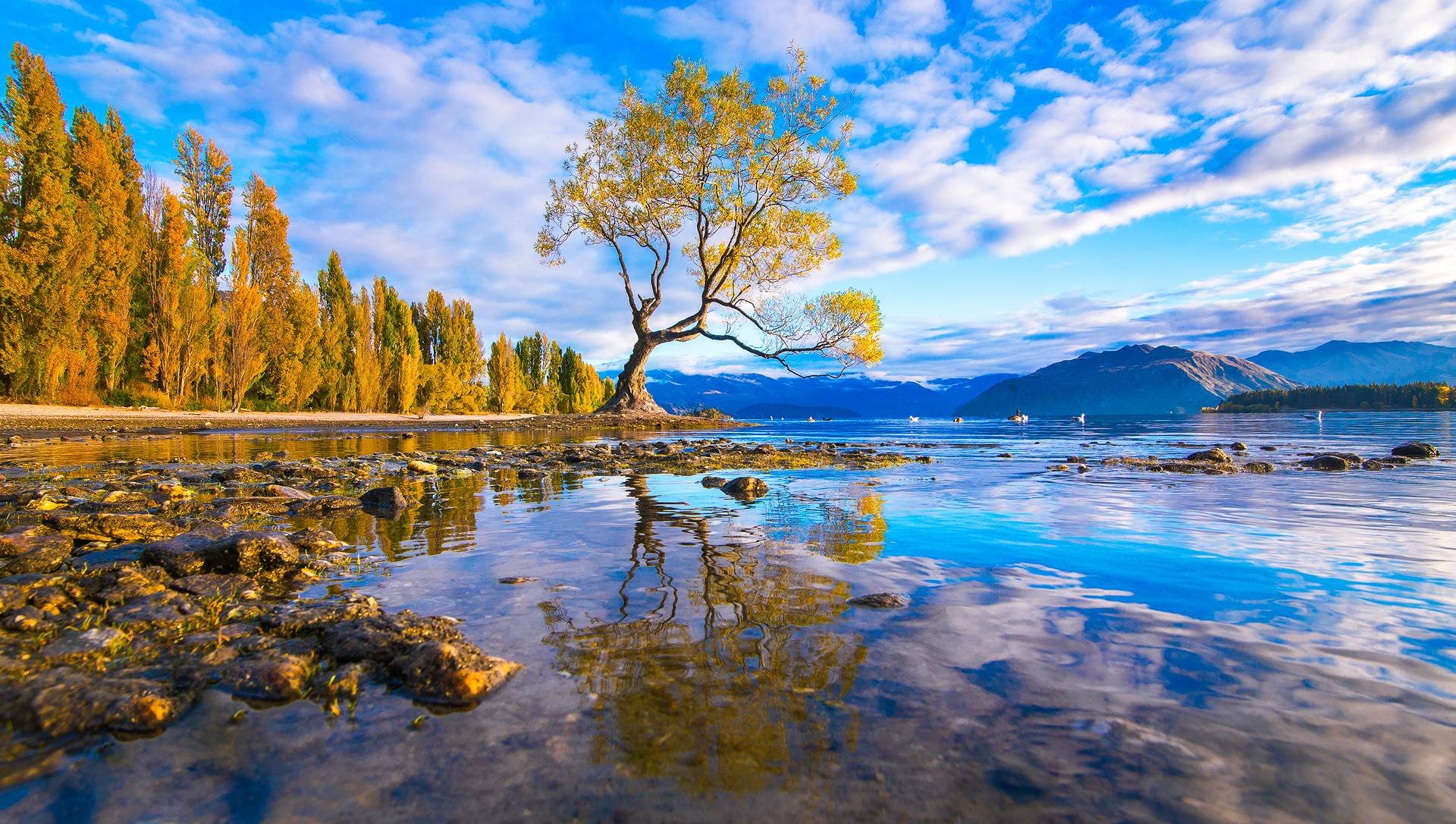 Lake Wanaka New Zealand 17167 Wallpaper - Beautiful Lakes In New Zealand , HD Wallpaper & Backgrounds