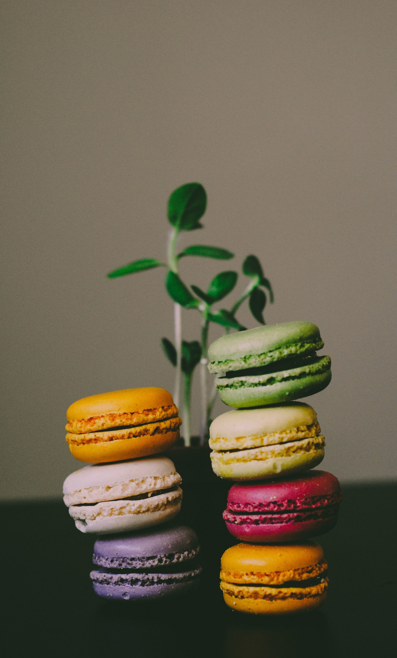 Macarons, Plants, Colorful, Wallpaper - Iphone 6 Macaron , HD Wallpaper & Backgrounds