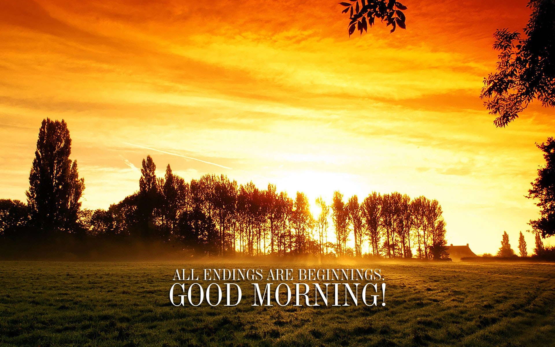 Morning Wishes - Year Ending Good Morning Quotes , HD Wallpaper & Backgrounds