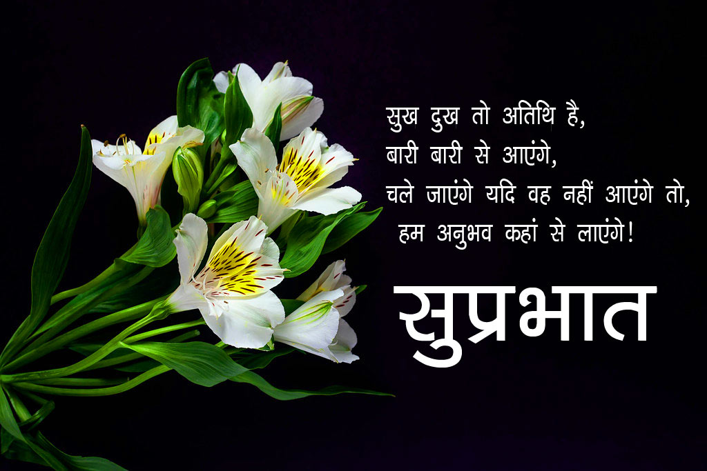 Good Morning Wallpaper Pics In Hindi - Flower In Black Background , HD Wallpaper & Backgrounds