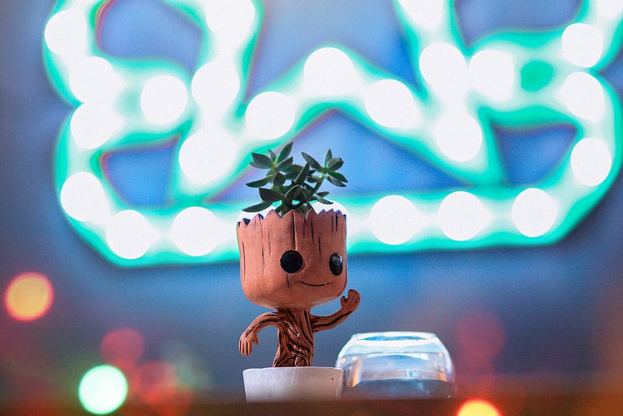 Hello, Celebration, Close-up, Focus On Foreground, - Groot , HD Wallpaper & Backgrounds