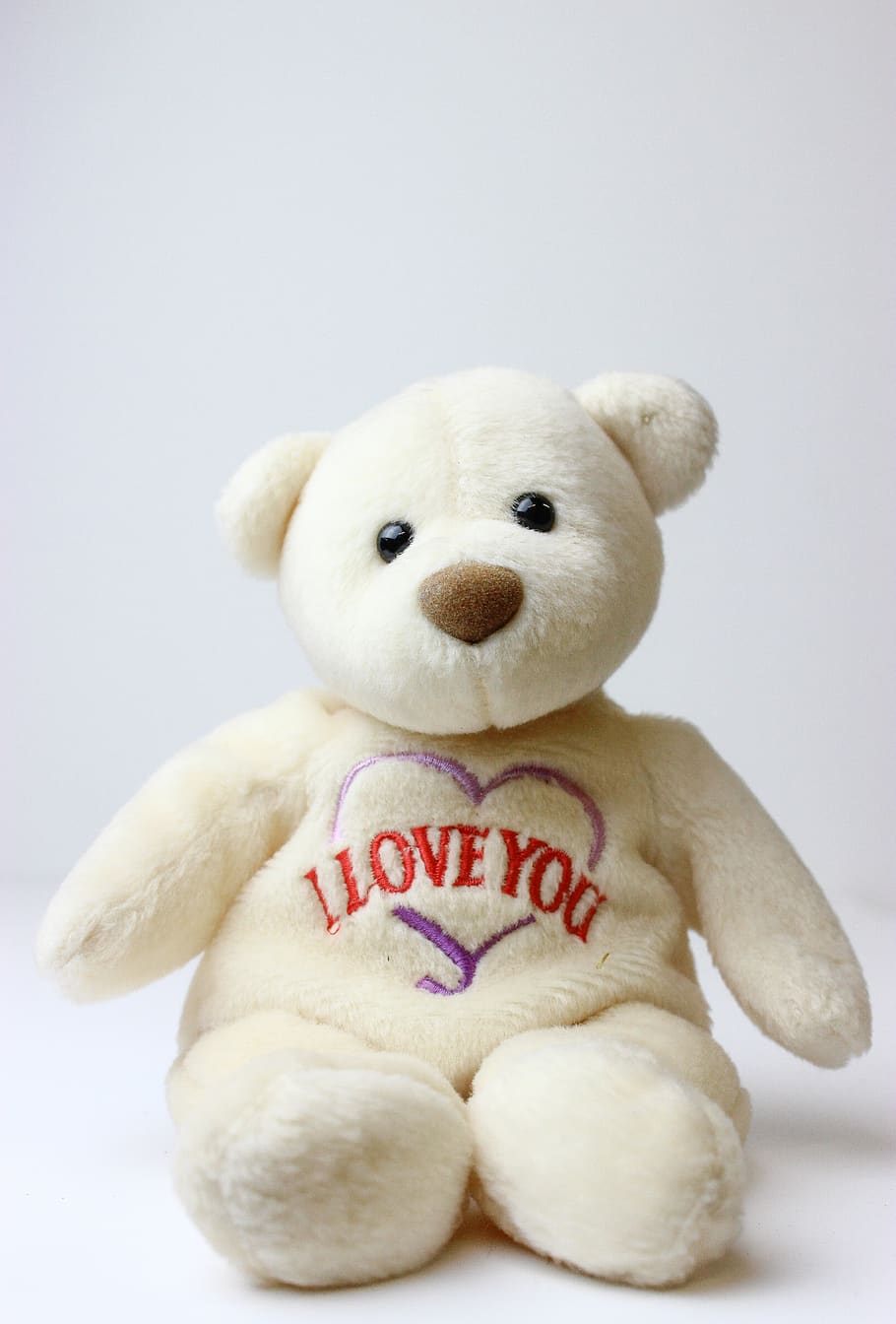 Teddy Bear, Beanie Baby, I Love You, Adorable, White, - Teddy Bear , HD Wallpaper & Backgrounds