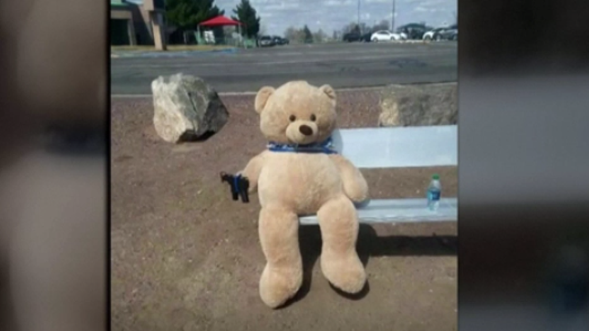 Teddy Bear With Gun , HD Wallpaper & Backgrounds