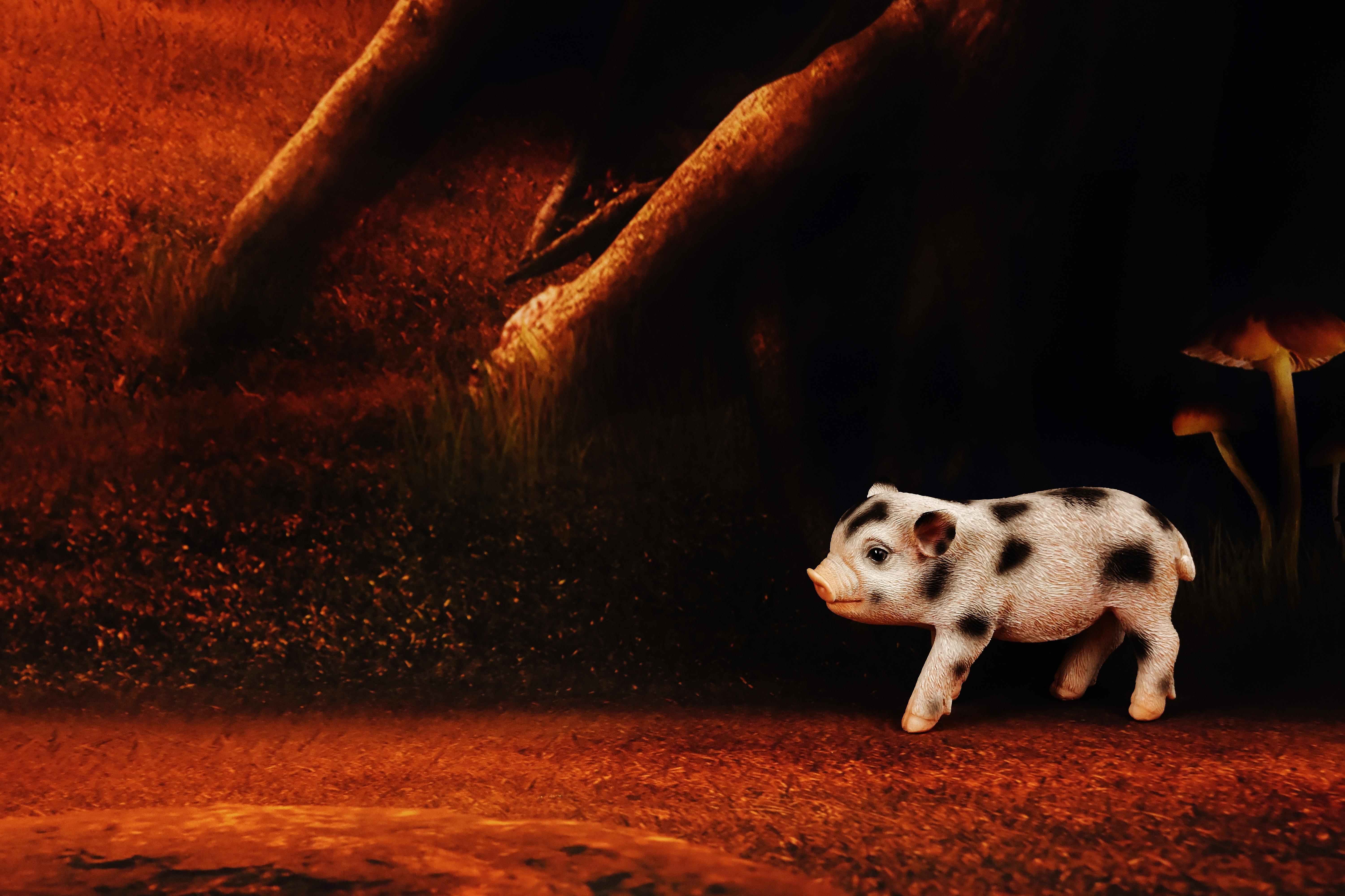 Cute Pig Wallpaper , HD Wallpaper & Backgrounds