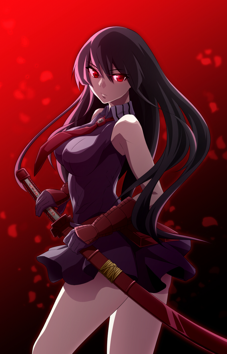 Akame Ga Kill Transparent , HD Wallpaper & Backgrounds