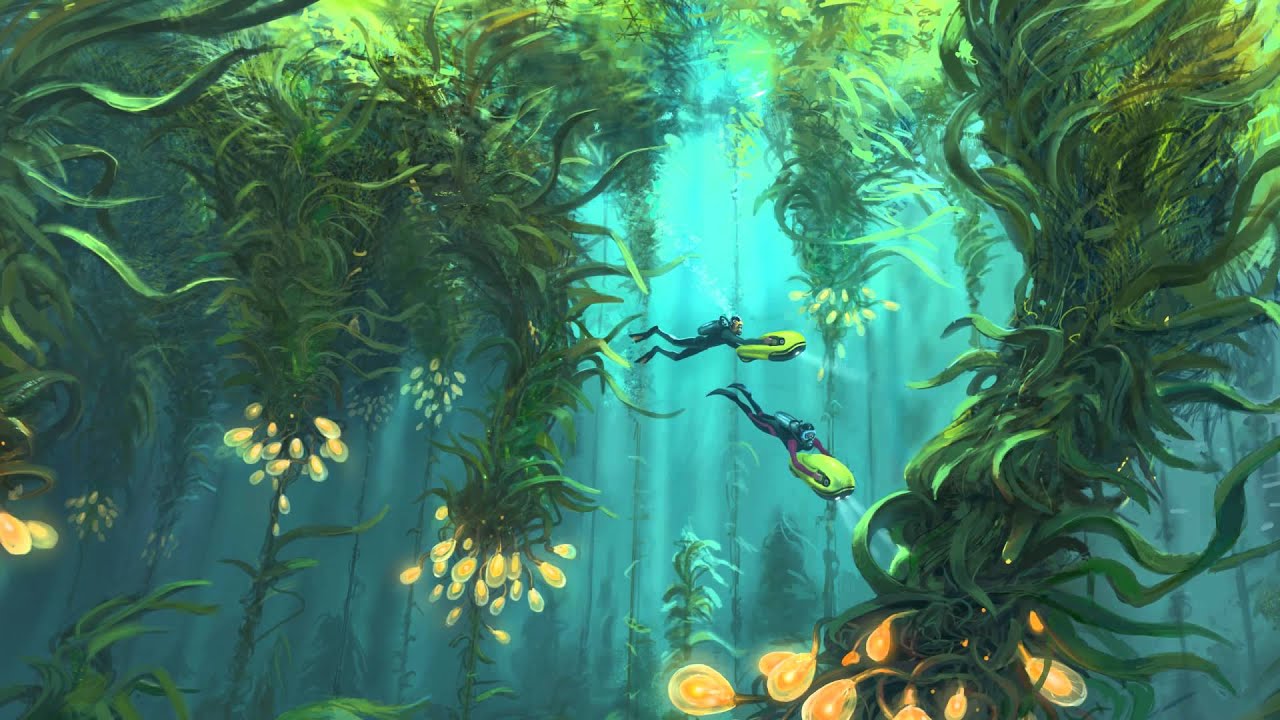 Find Kelp Forests Subnautica , HD Wallpaper & Backgrounds