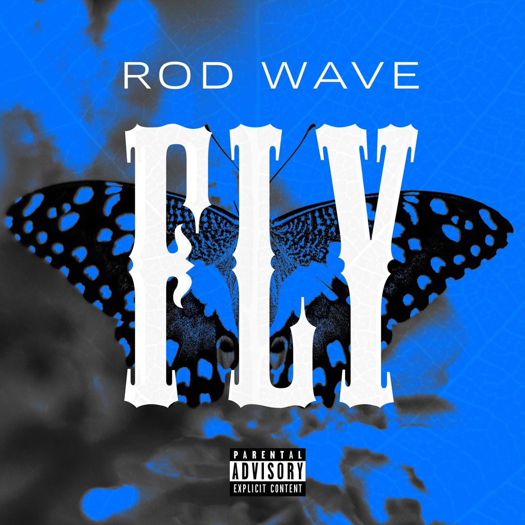 Rod Wave Wallpaper - Rod Wave Digital Art Poster Von Diffused Art