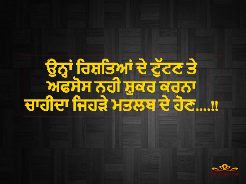 Sad Punjabi Wallpaper - Funny Dressed Up Animals , HD Wallpaper & Backgrounds