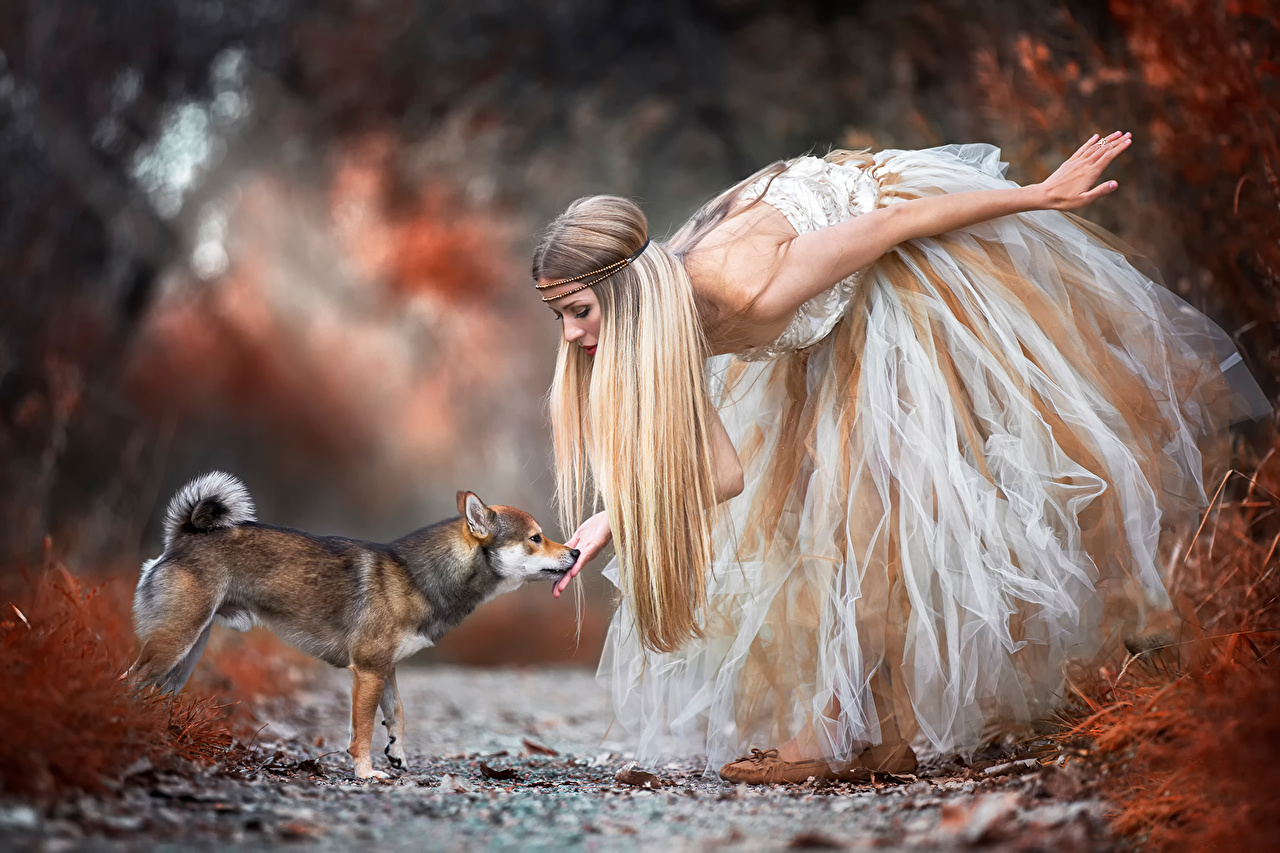 Autumn Girl With Wild Animal , HD Wallpaper & Backgrounds