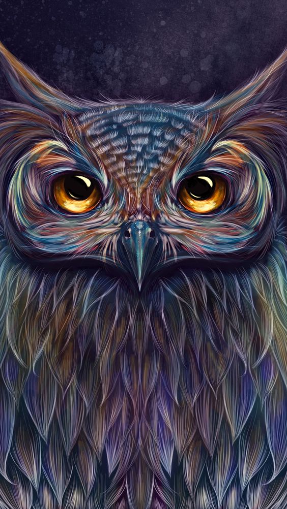 Owl Wallpaper - Owl Background , HD Wallpaper & Backgrounds
