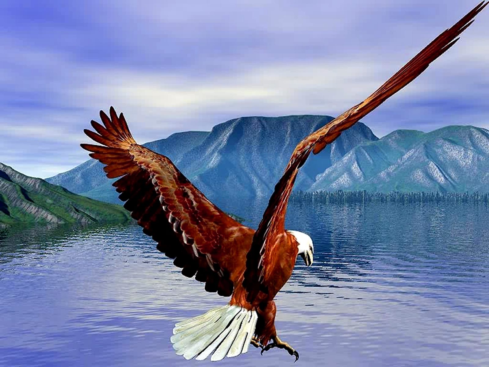 Bald Eagle Hd Wallpaper - Bald Eagle , HD Wallpaper & Backgrounds