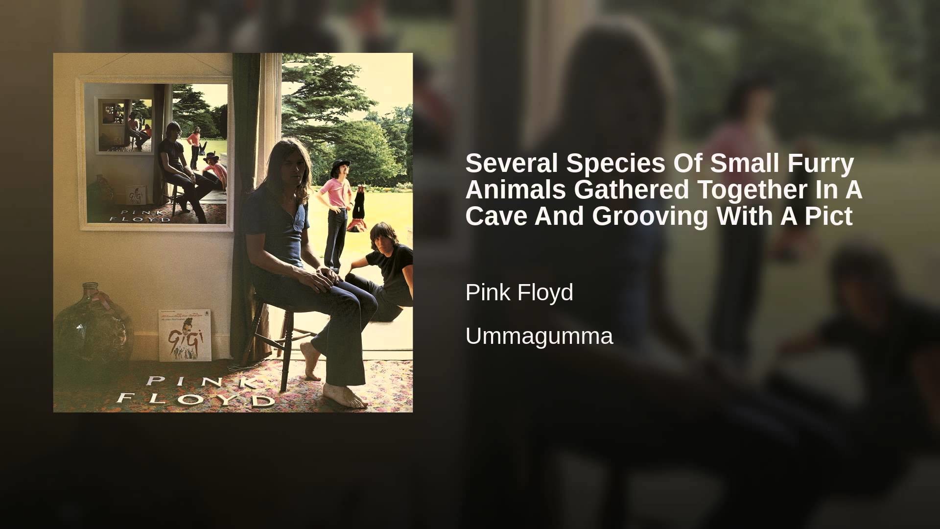 Several Species Of Small Furry Animals Gathered Together - Ummagumma Album Cover , HD Wallpaper & Backgrounds