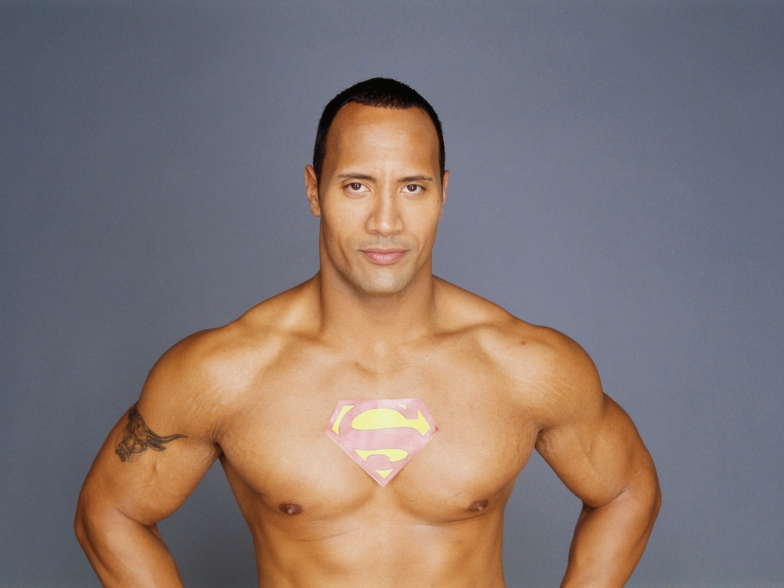 Dwayne Johnson Wallpaper - Dwayne The Rock Johnson Hot , HD Wallpaper & Backgrounds