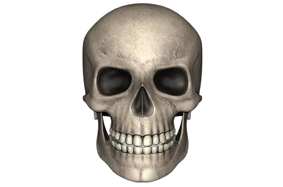 Skeleton Head Png , HD Wallpaper & Backgrounds