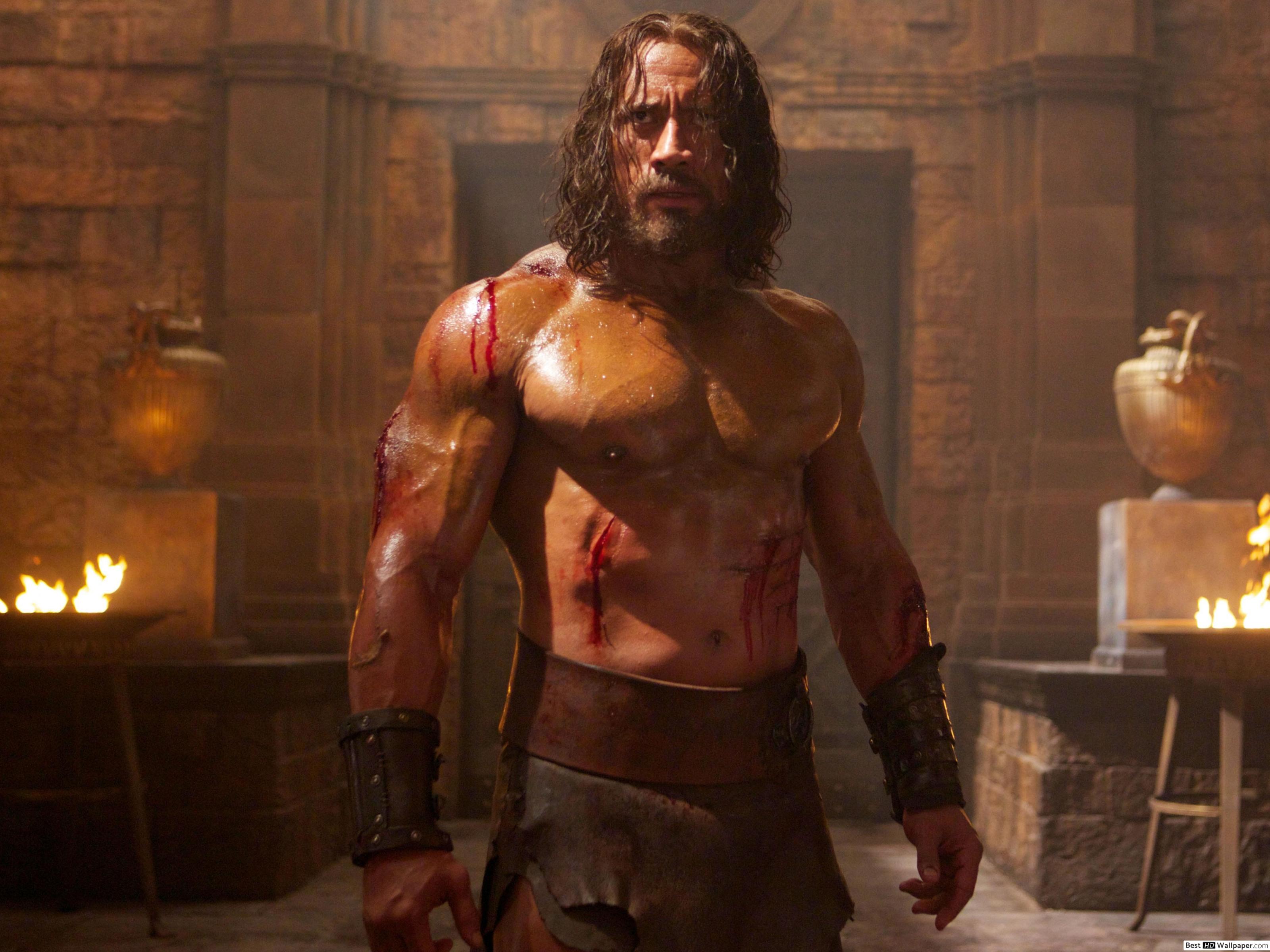 Dwayne Johnson Hercules Body , HD Wallpaper & Backgrounds