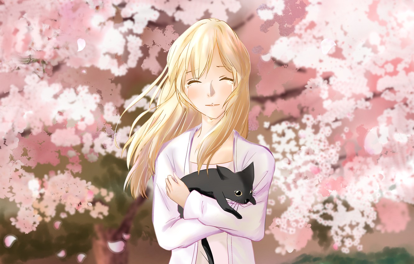 Photo Wallpaper Cat, Girl, Spring, Garden, Sakura, - Anime Shigatsu Wa Kimino Uso , HD Wallpaper & Backgrounds