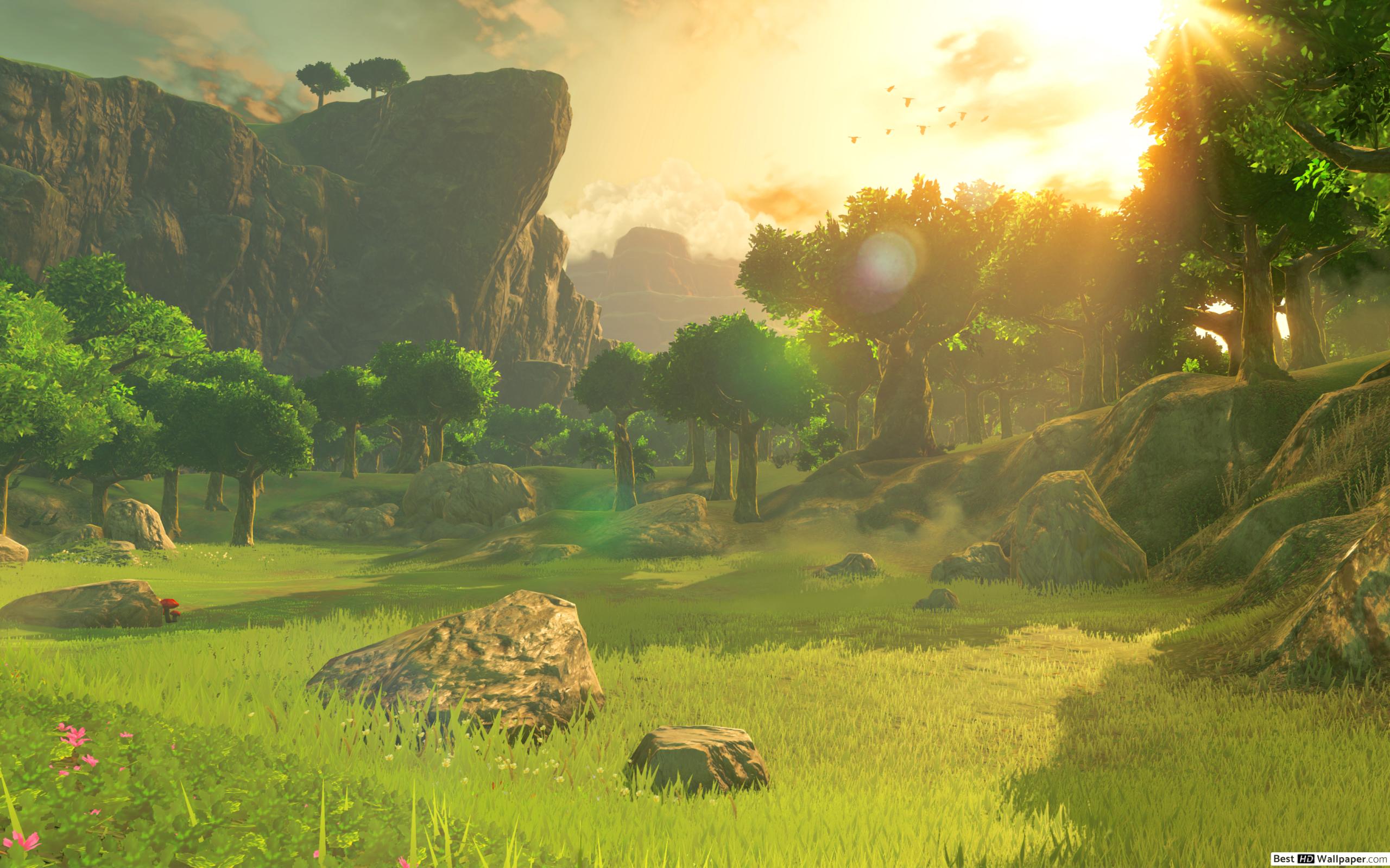 Zelda Breath Of The Wild Forest , HD Wallpaper & Backgrounds
